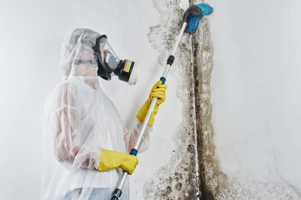 Best Mold Testing  in Plymouth, CA