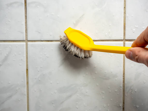 Best Office Mold Removal Services  in Plymouth, CA