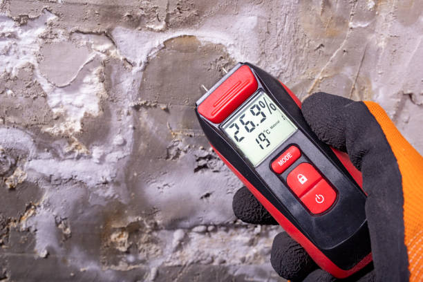 Best Black Mold Removal  in Plymouth, CA