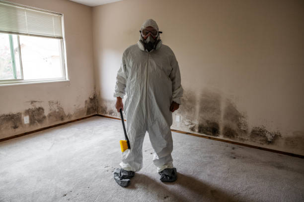 Best Attic Mold Removal  in Plymouth, CA