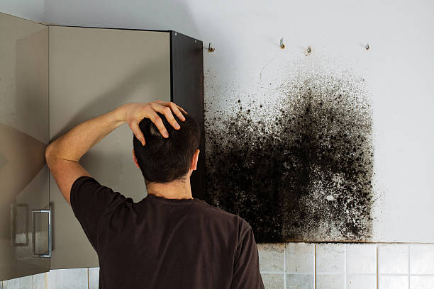 Best Certified Mold Removal  in Plymouth, CA