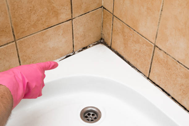 Best Certified Mold Removal  in Plymouth, CA
